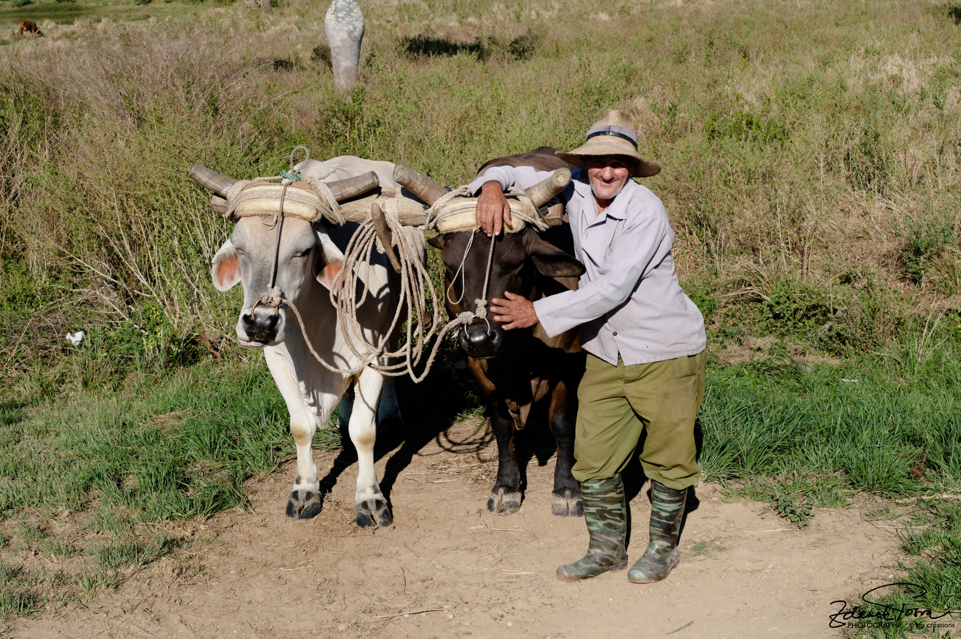 Un paysan sur la route à Piña des Rio
